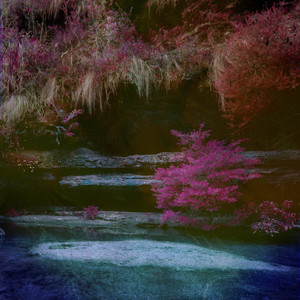 2021国产激情视频在线观看
