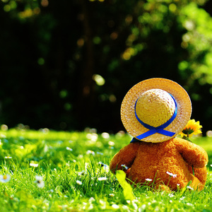 2021国产激情视频在线观看
